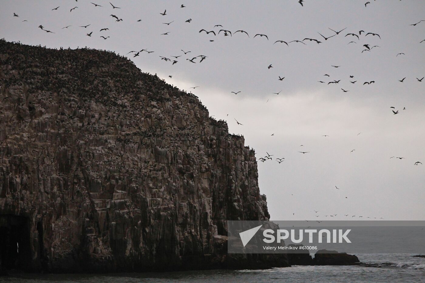 Pacific coast of Constitucion