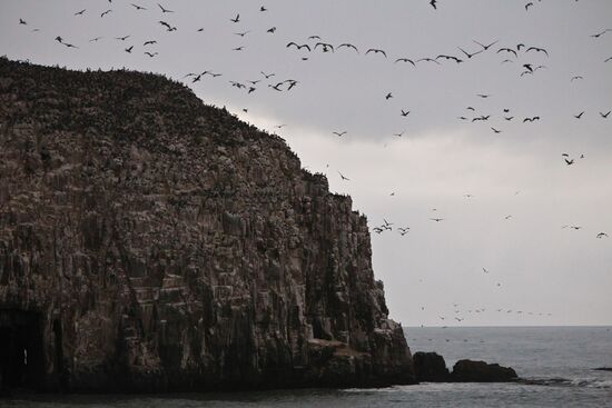 Pacific coast of Constitucion
