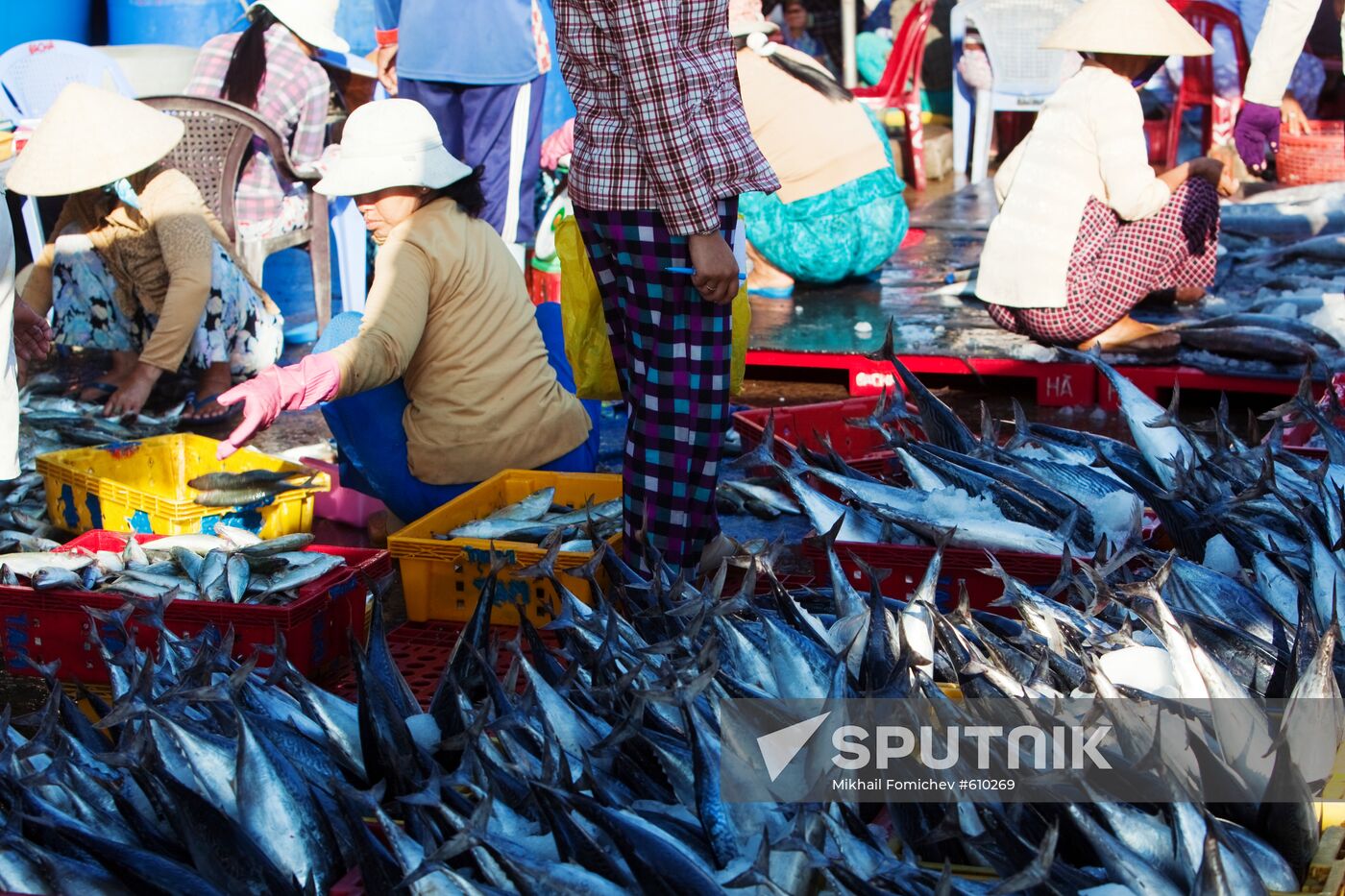 Fish market in Phan Thiet