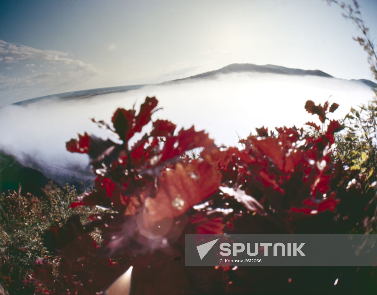 Mist over river