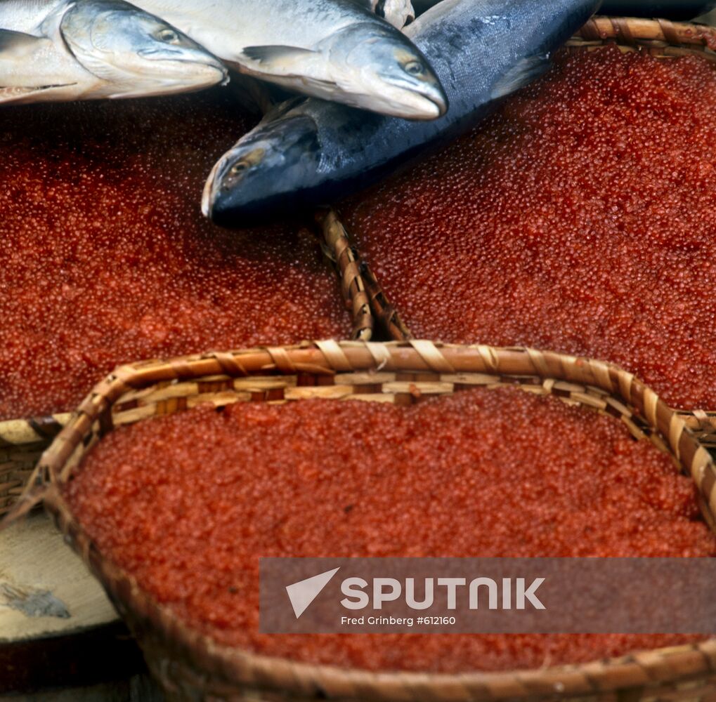 Hunchback salmon and caviar