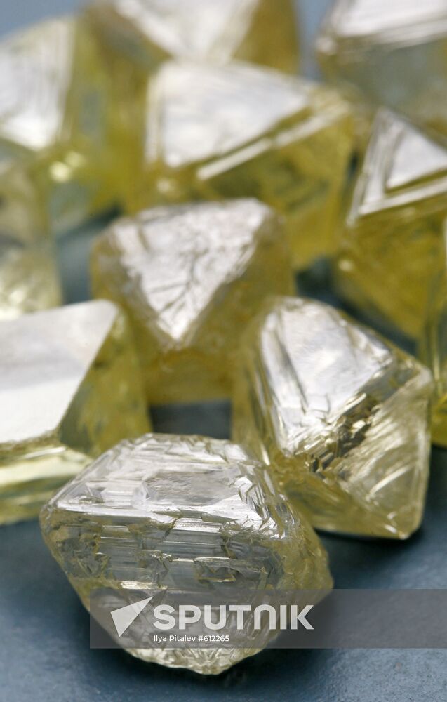 Russian State Precious Metals and Gemstones Collection Fund