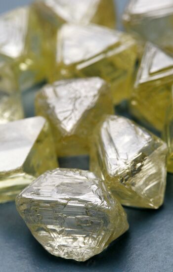 Russian State Precious Metals and Gemstones Collection Fund
