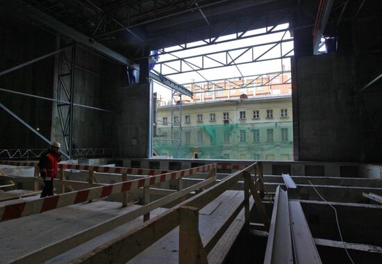 Bolshoi reconstruction