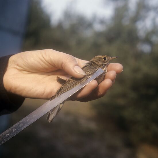 Fringilla Biological Station