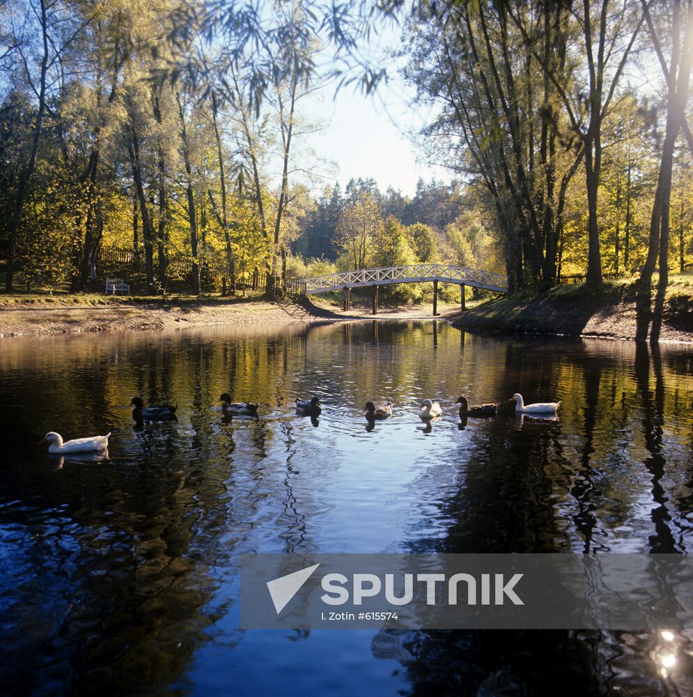 Pond in Mikhailovskoe park