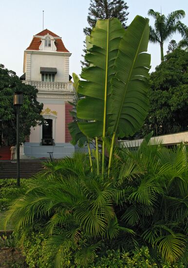Miraflores Palace in Caracas