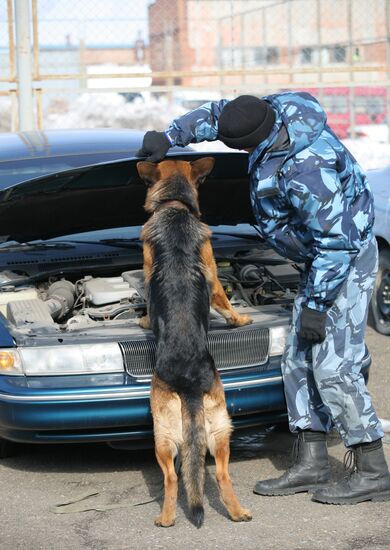 Dog Handler All-Round Championship in Novosibirsk