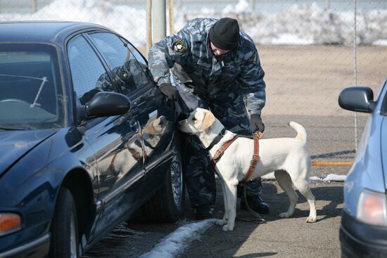 Dog Handler All-Round Championship in Novosibirsk