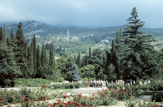 Park adjacent to Lividia Palace in Crimea