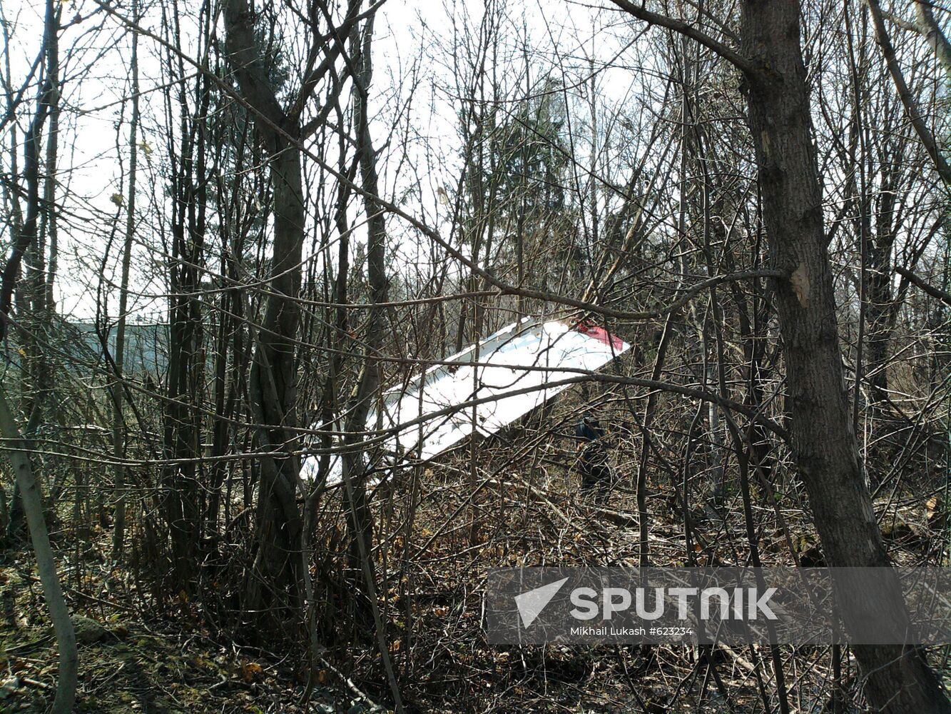 Polish Air Force Tu-154 crash site