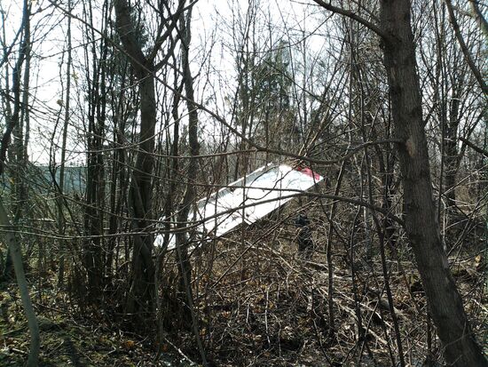Polish Air Force Tu-154 crash site