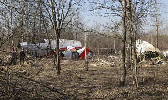 Polish Air Force Tu-154 crash site