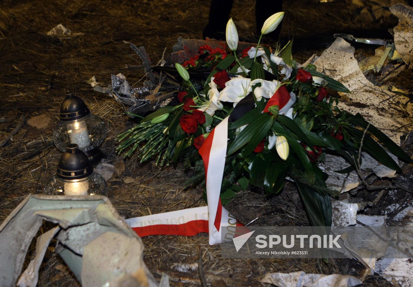 Polish Air Force Tu-154 plane crash site