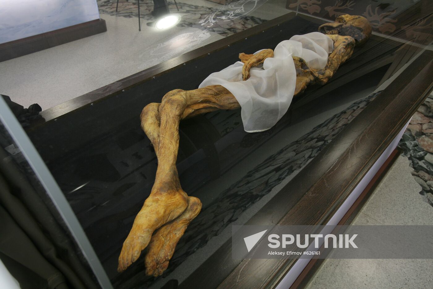 "Altai Princess" mummy