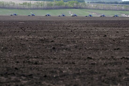 Preparatary work for sowing in Voronezh region