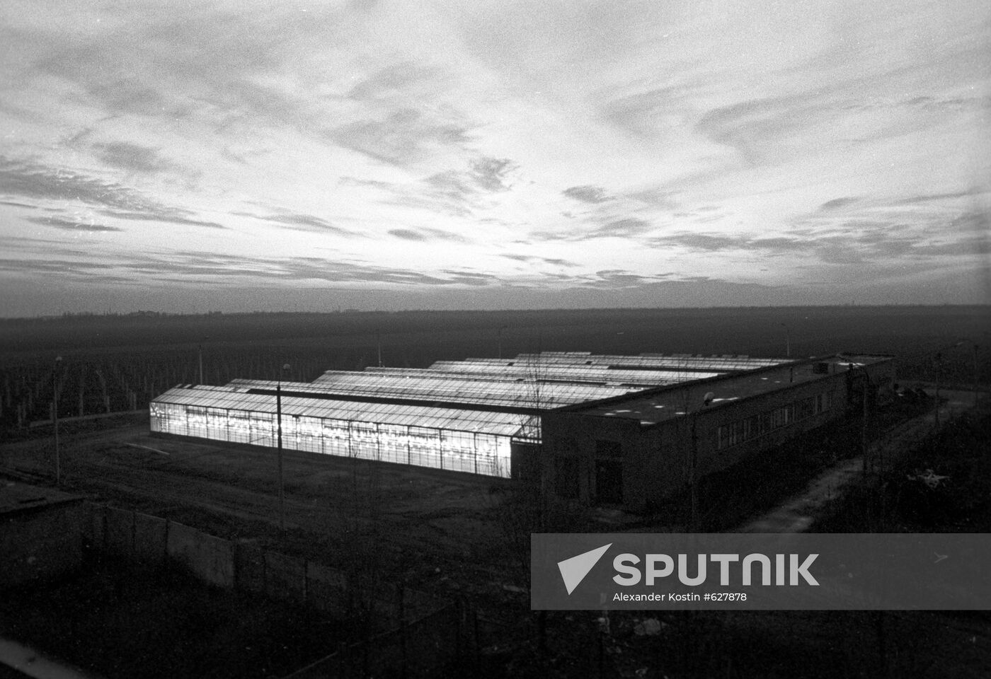 Greenhouse complex