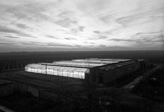 Greenhouse complex