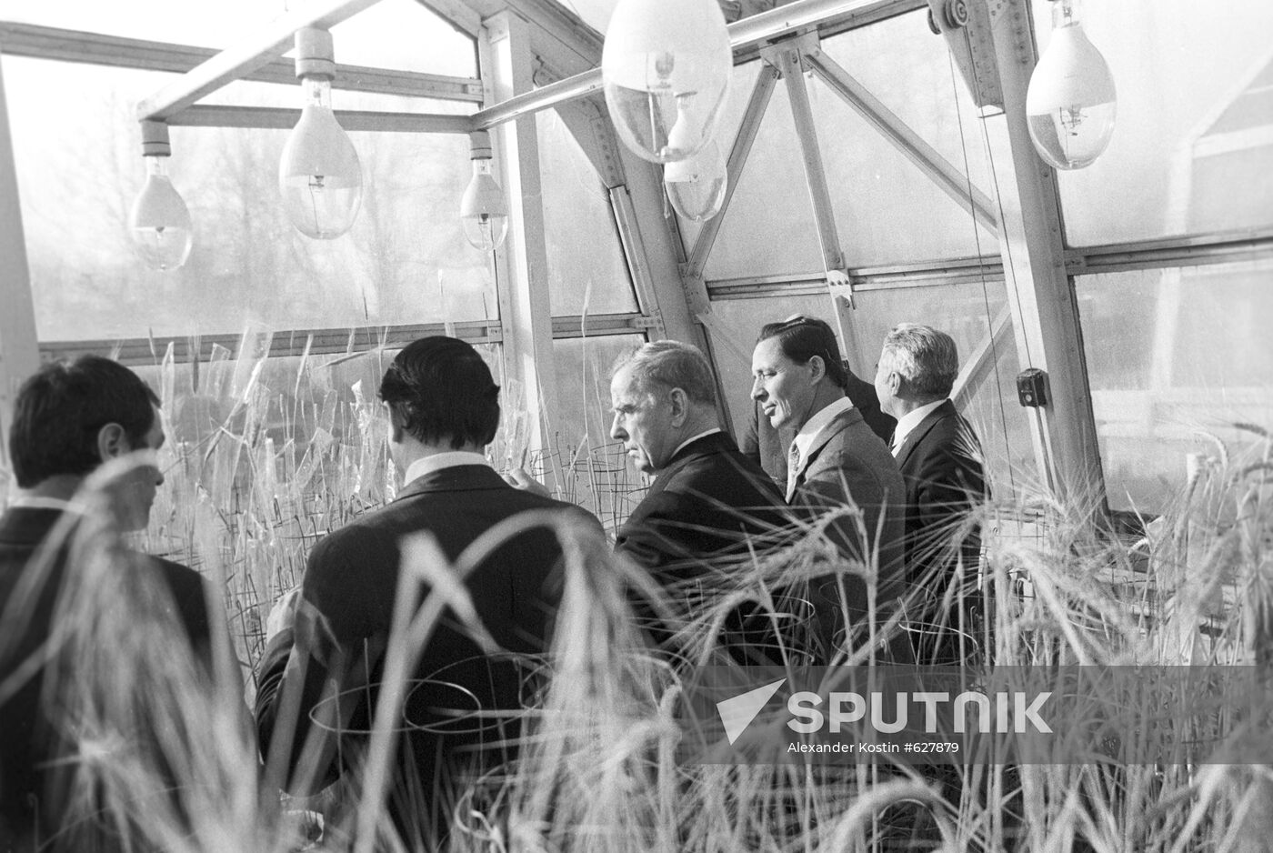 Greenhouse complex