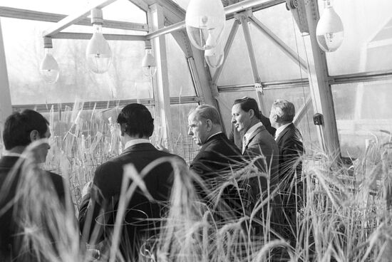 Greenhouse complex