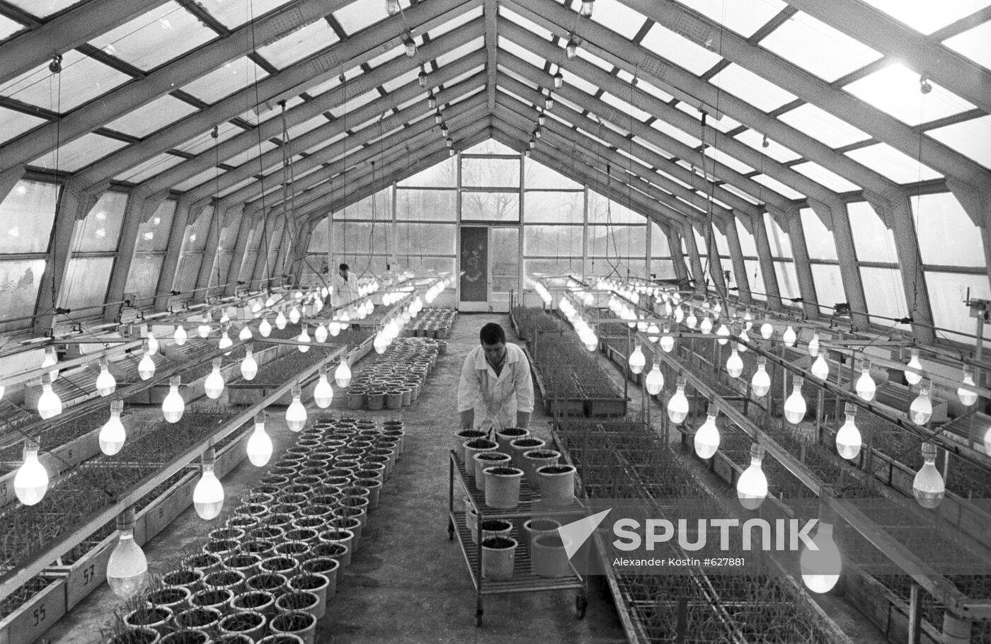 Greenhouse complex