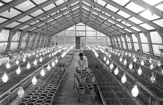 Greenhouse complex