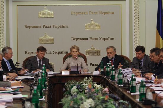 Ukraine's opposition Cabinet of Ministers in session