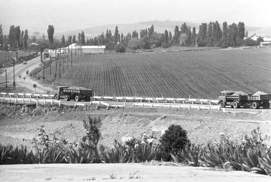 Fields of Vakhsh branch of Tajik Institute of Agriculture