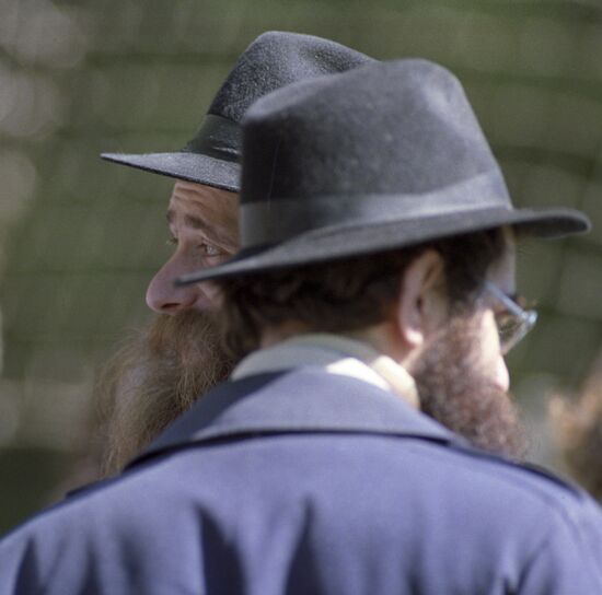 Rabbis