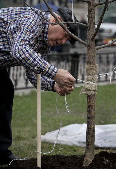 Yury Luzhkov plants trees on volunteer city clean-up day