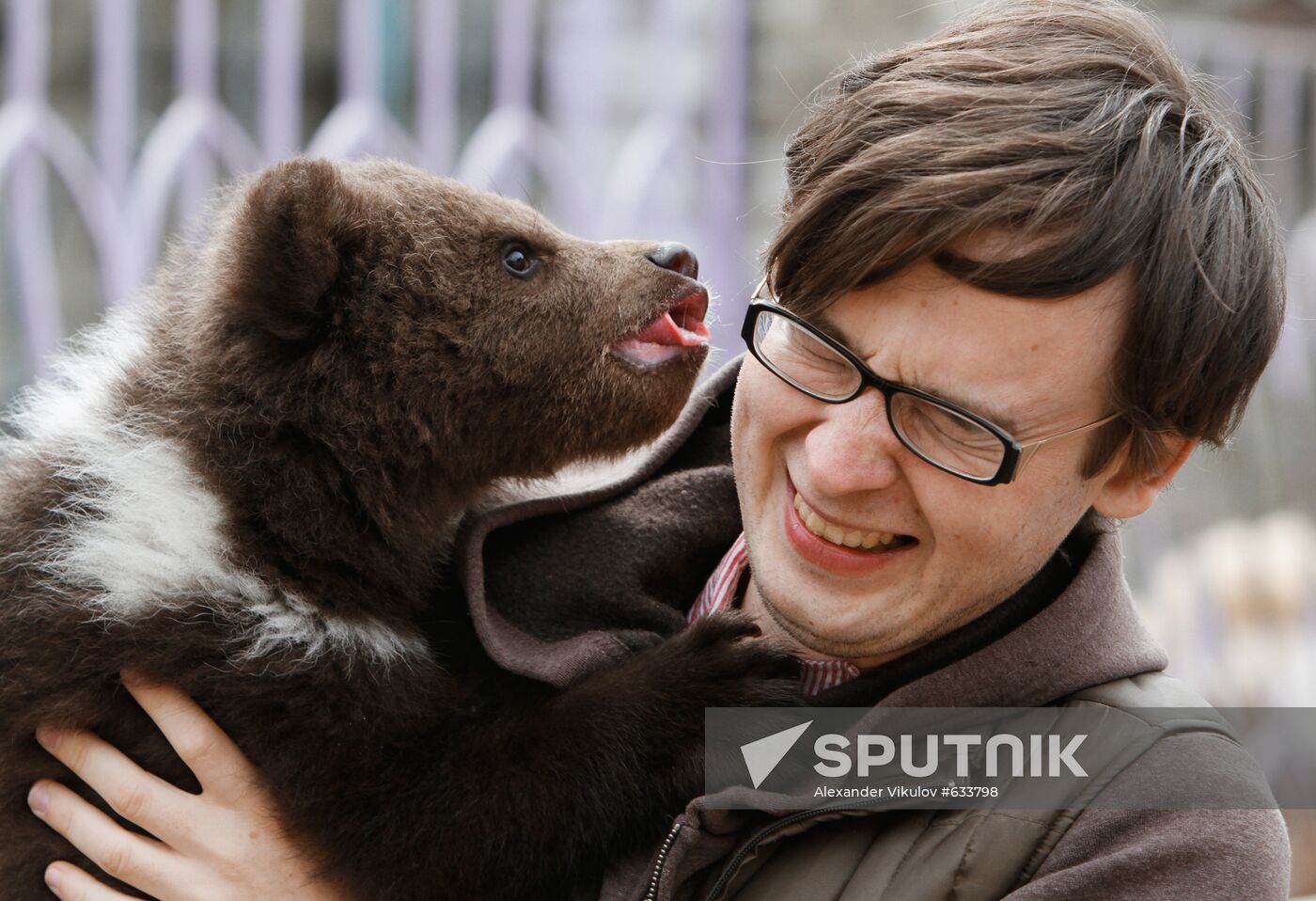 Bear cub at zoological corner of Victory Park