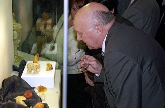 A visitor at the exhibition "The Amber Gold of Russia"