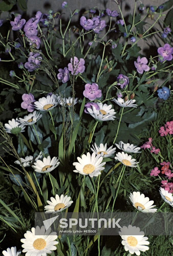 Composition "Summer"