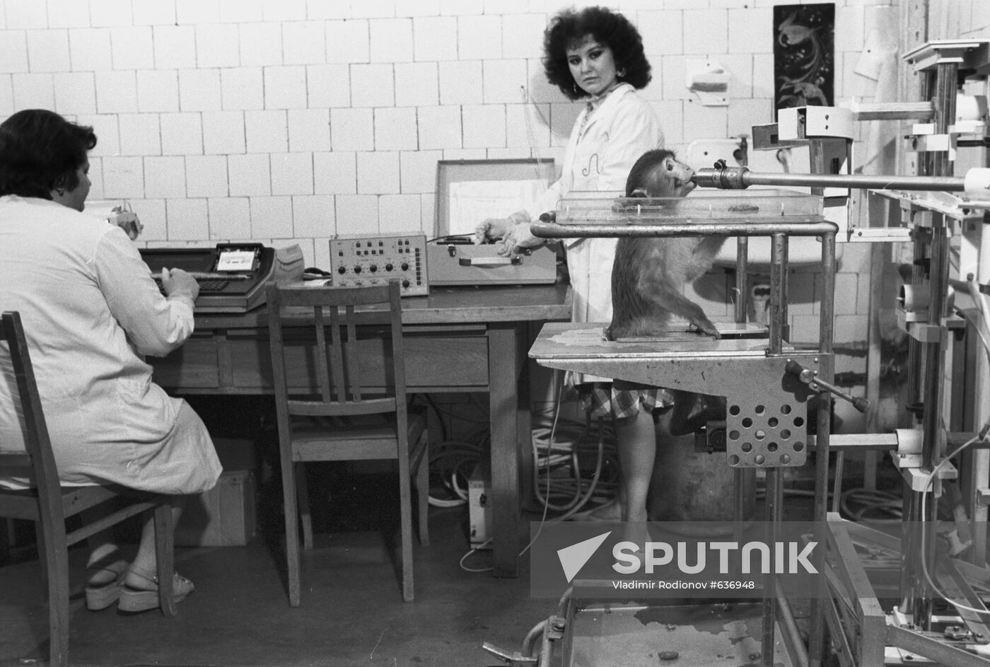 Institute of Experimental Pathology and Therapy in Sukhumi