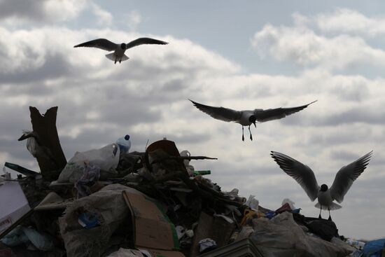Ashitkovo domestic garbage dump