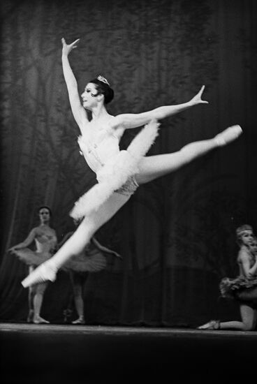 Scene from "Don Quixote" ballet