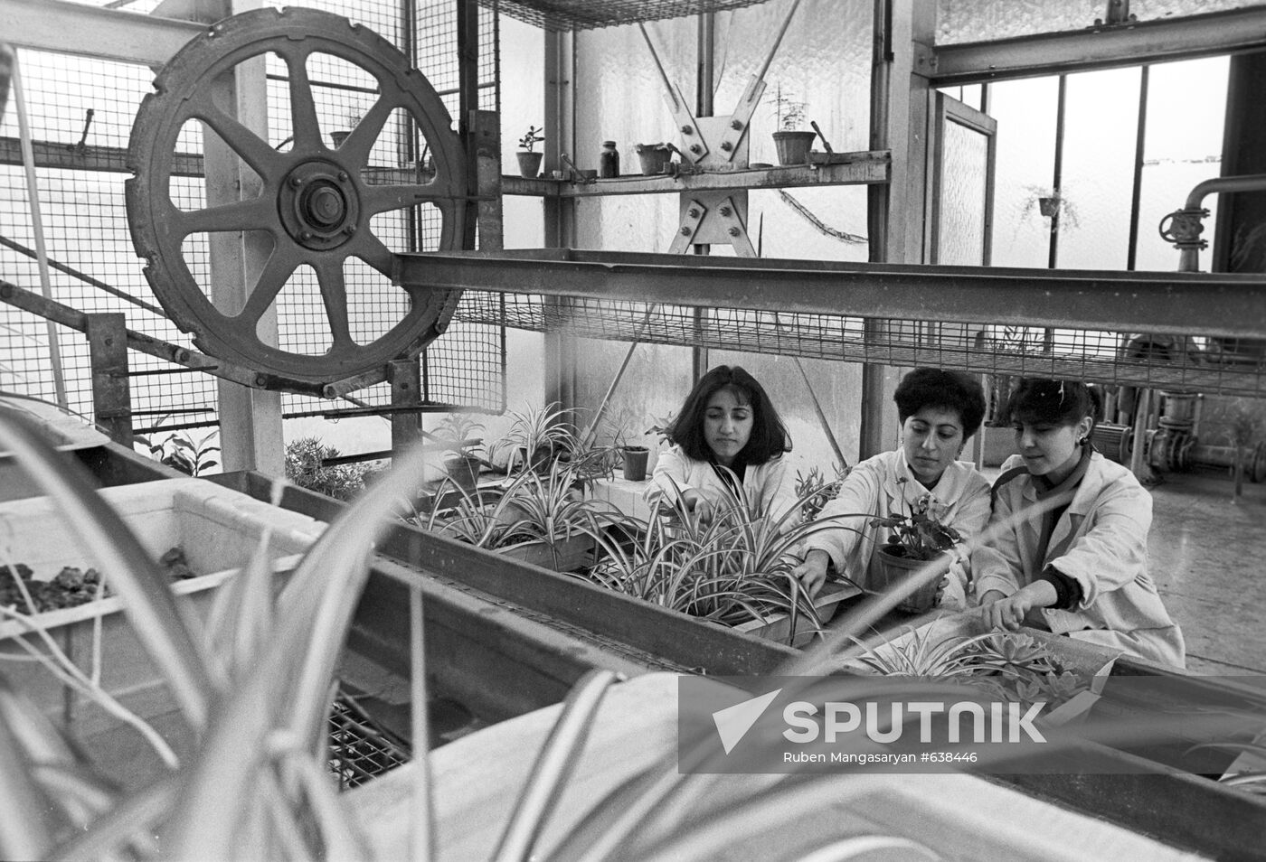 Institute of Agro-chemical Problems and Hydroponics