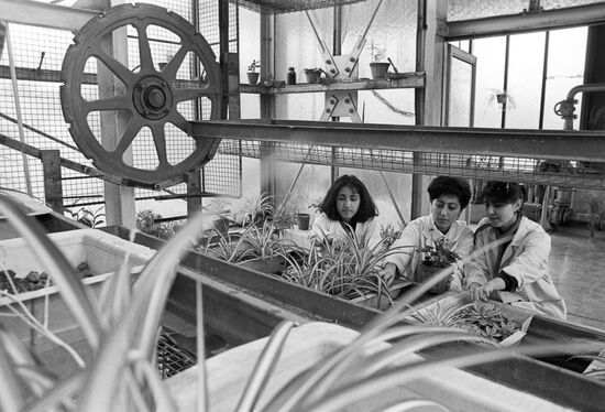 Institute of Agro-chemical Problems and Hydroponics