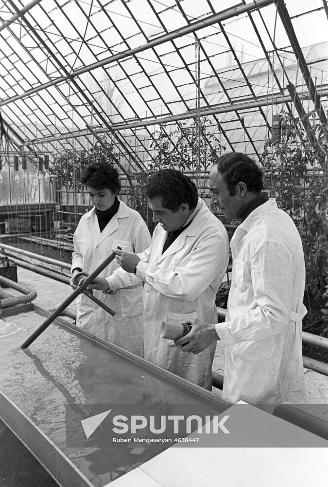 Institute of Agro-chemical Problems and Hydroponics