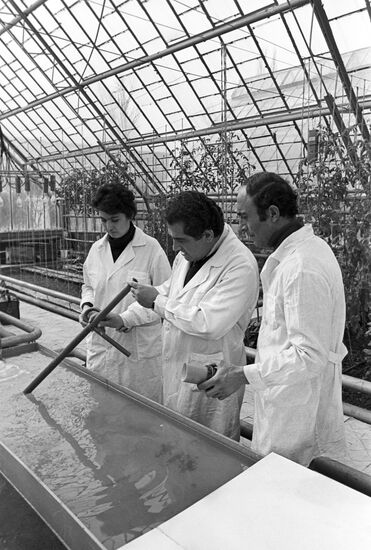Institute of Agro-chemical Problems and Hydroponics