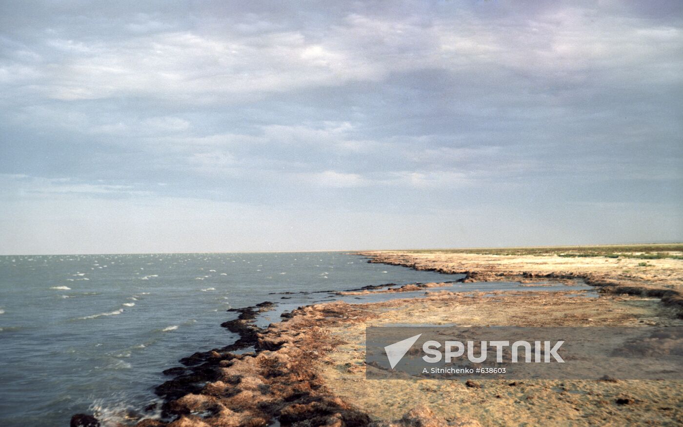 Aral Sea coast