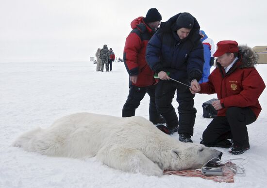 Vladimir Putin visits Franz Josef Archipelago