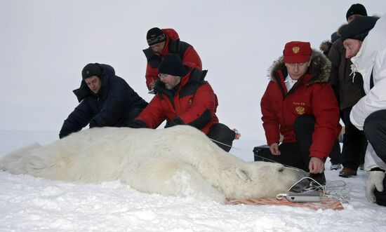 Vladimir Putin visits Franz Josef Archipelago
