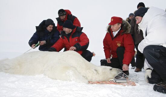 Vladimir Putin visits Franz Josef Archipelago