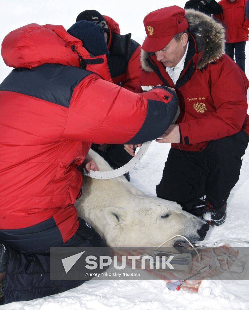 Vladimir Putin visits Franz Josef Archipelago