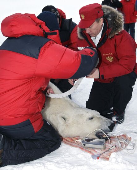 Vladimir Putin visits Franz Josef Archipelago