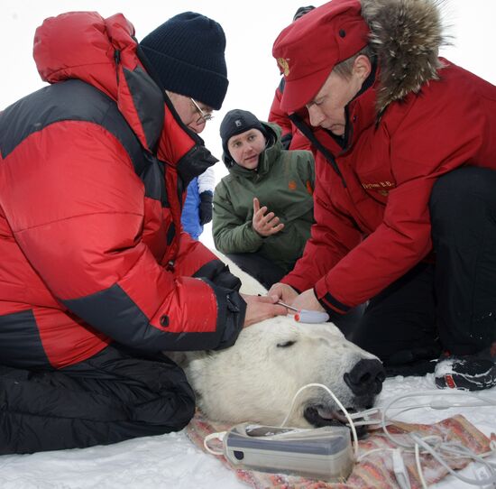 Vladimir Putin visits Franz Josef Archipelago