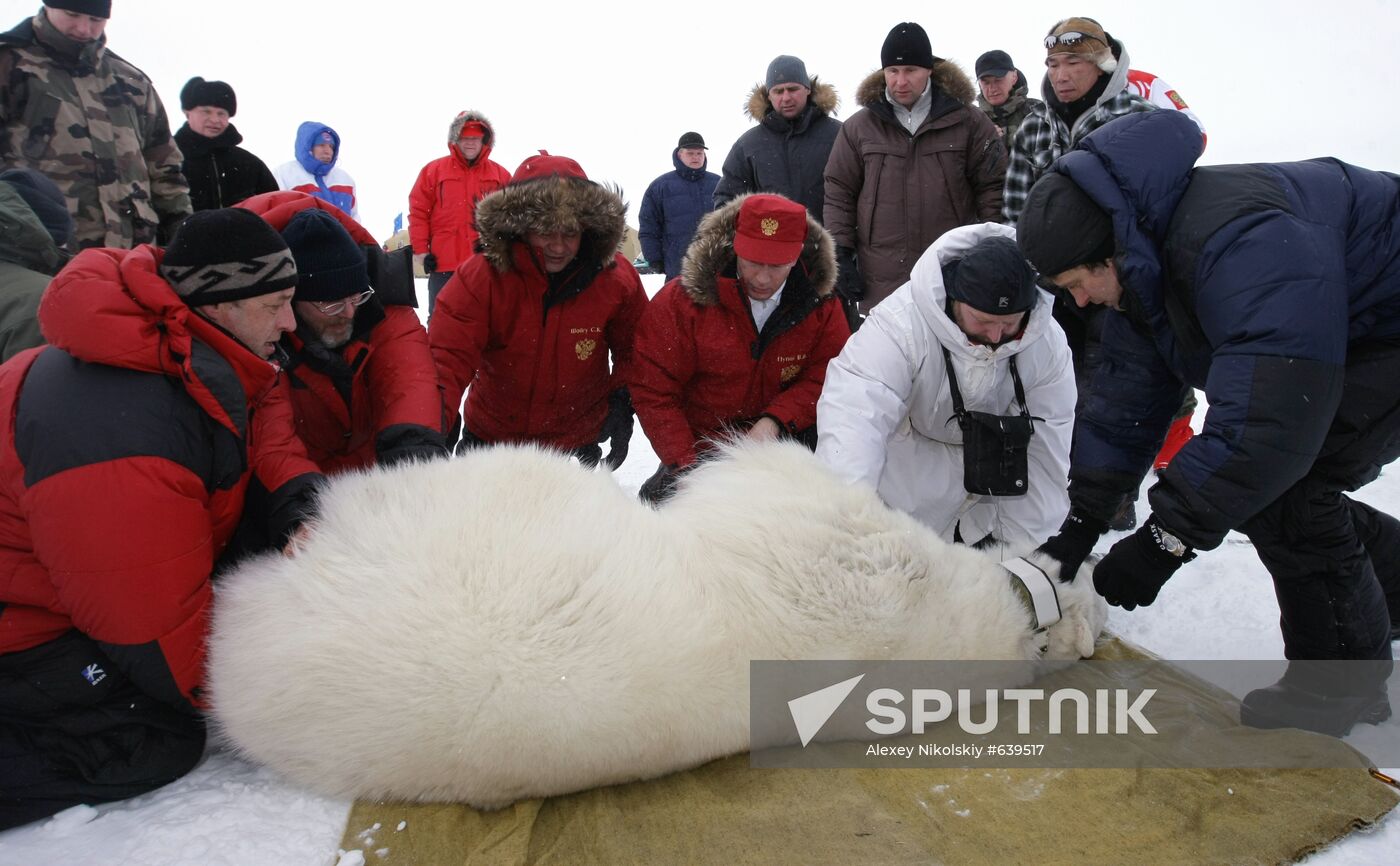 Vladimir Putin visits Franz Josef Archipelago