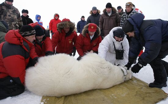 Vladimir Putin visits Franz Josef Archipelago