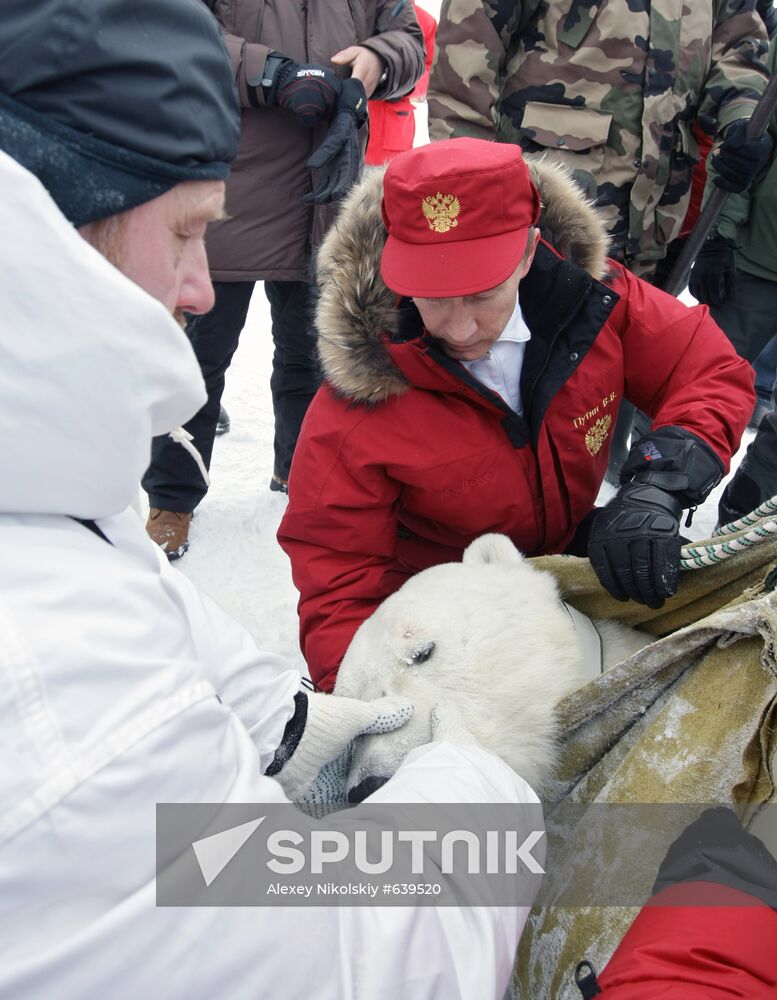 Vladimir Putin visits Franz Josef Archipelago